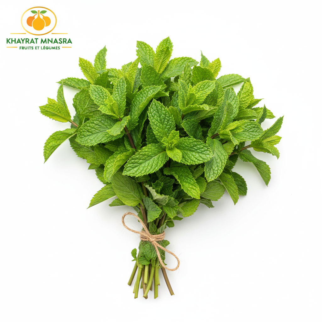 MENTHE – نعناع – (U)