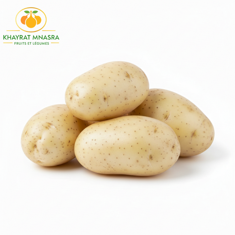 POMME DE TERRE BLANCHE – بطاطة بيضاء – (KG)