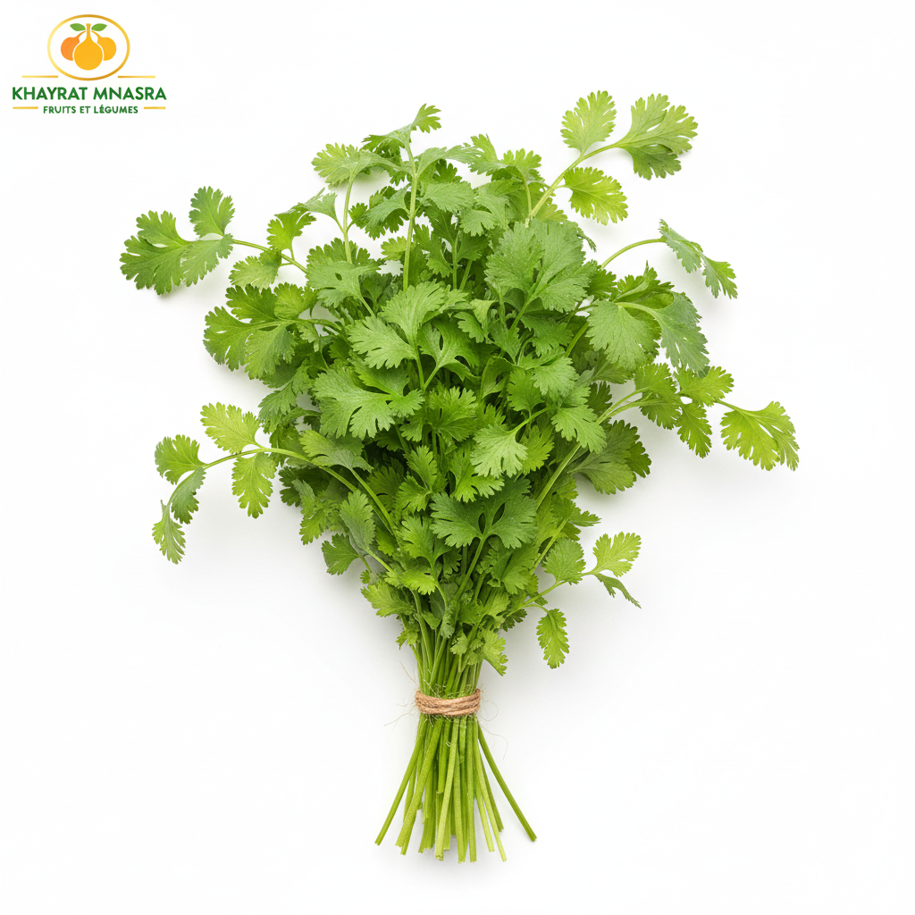 CORIANDRE – القزبر – (U)