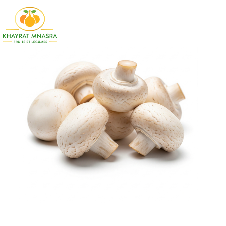 CHAMPIGNON BLANC -فطر أبيض – (KG)