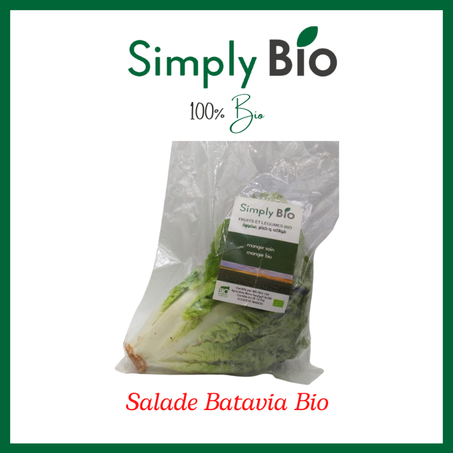 Salade Batavia Bio