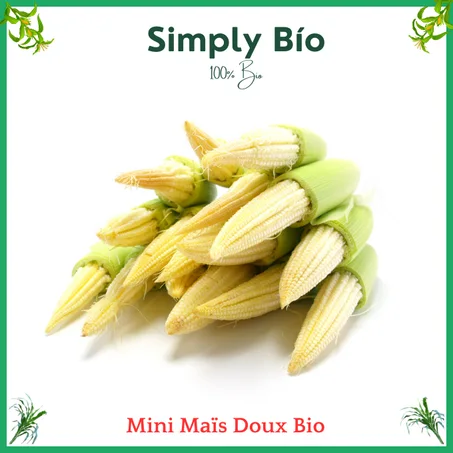 Mini Maïs Doux Bio