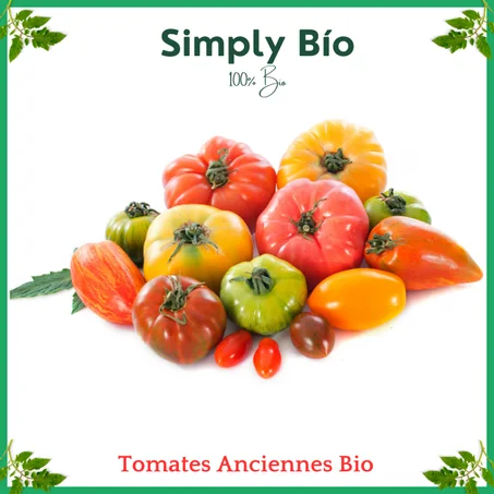 Tomates Anciennes Bio Au Kg
