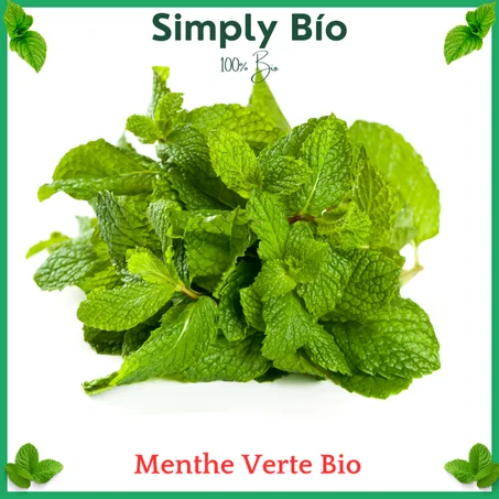 Menthe Verte Bio