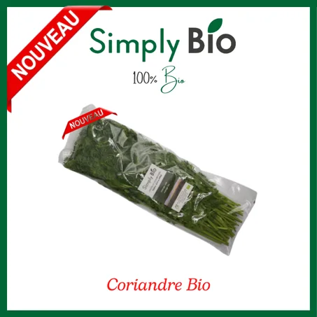 Coriandre Bio