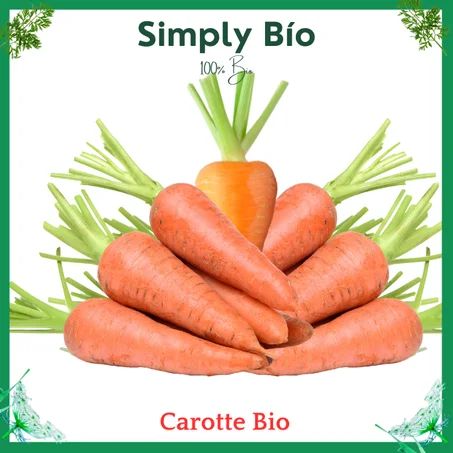 Carotte Bio 300g
