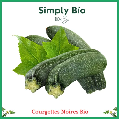 Courgette Noire Bio 350g