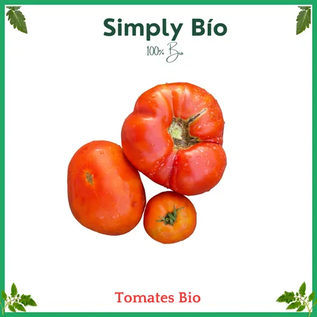 Tomate Ronde Bio au kg
