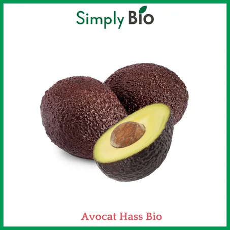 Avocat hass Bio