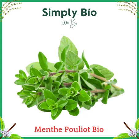 Menthe Pouliot  Bio