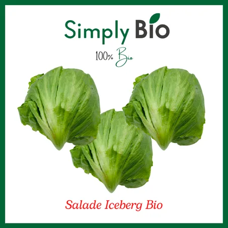 Salade Iceberg Bio