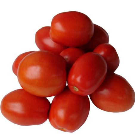 TOMATE - مطيشة