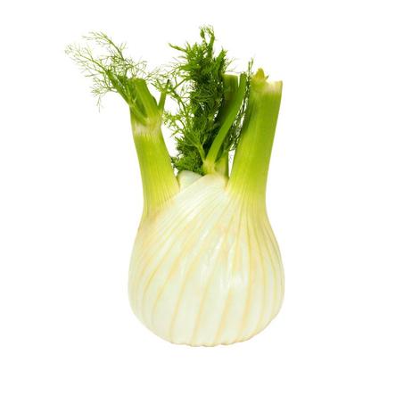 FENOUIL - بسباس