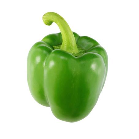 POIVRON VERT - فلفل أخضر