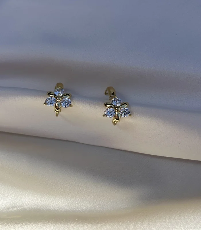Boucle D'oreilles avec zircon