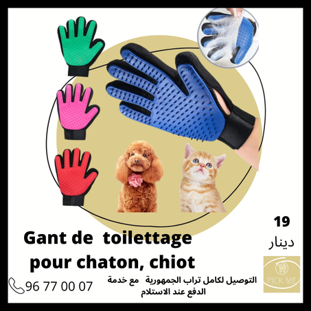Gant de toilettage pour animaux de compagnie