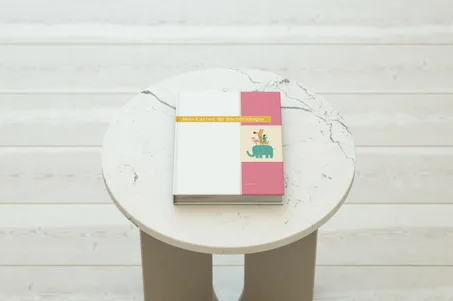 série de résumé mon carnet 16 livres