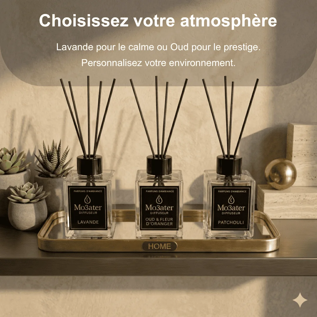 pack 3 diffuseur+ plateaux miroir + diffuseur voiture