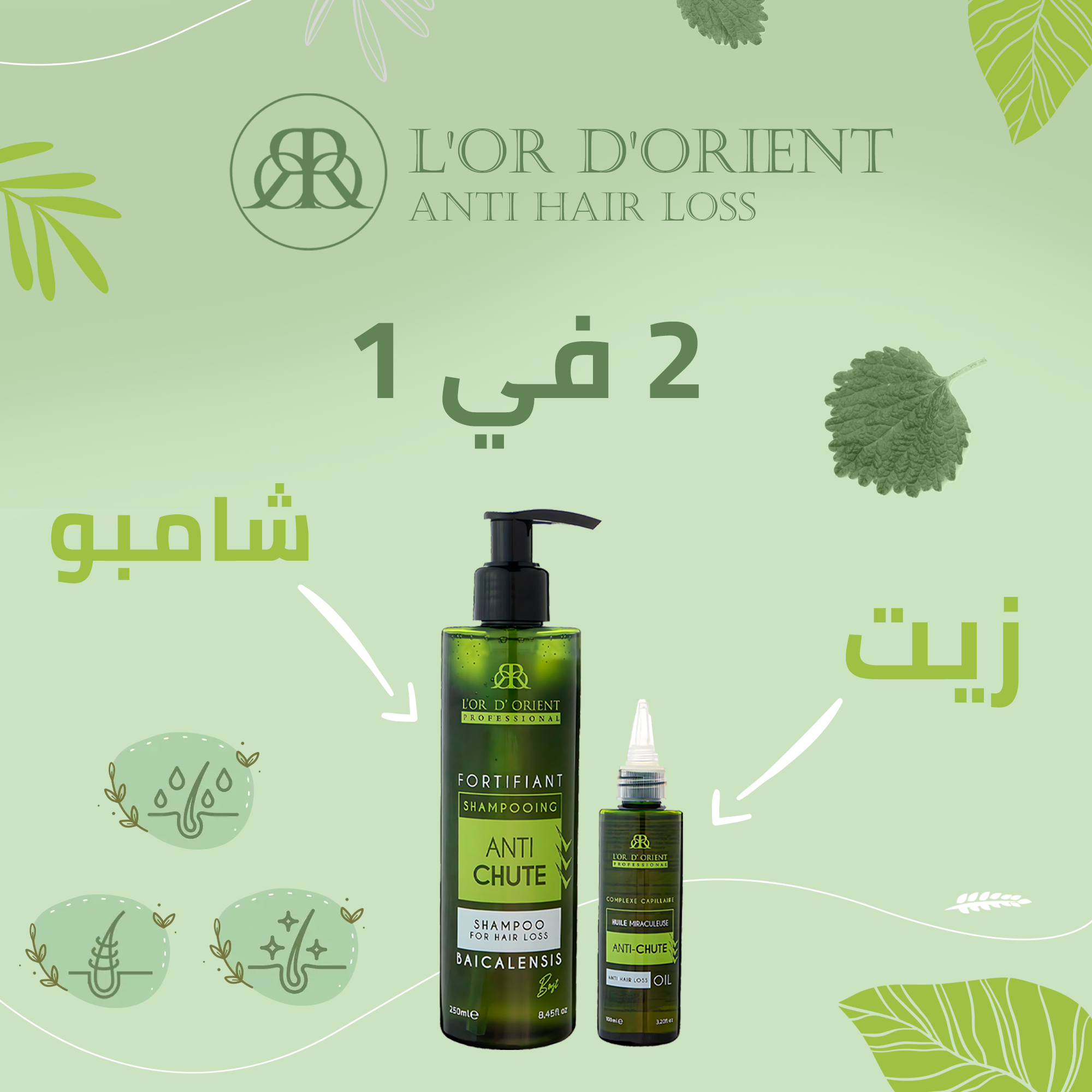 Pack Soins de Cheveux /مجموعة العناية بالشعر