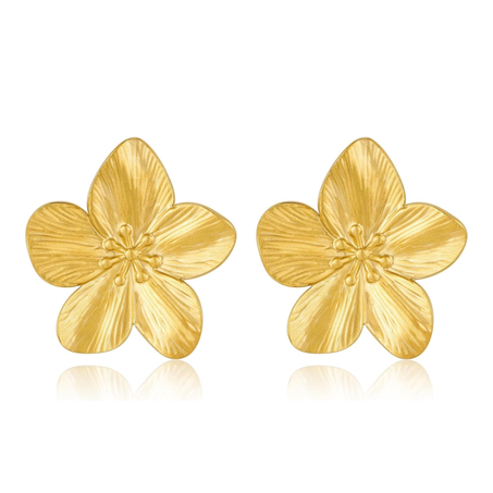 Boucles "Hawaï" boucles