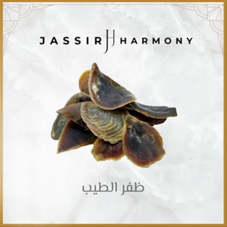 ظفر الطيب