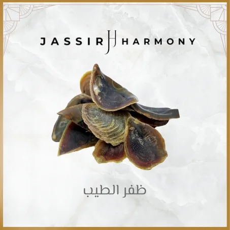 ظفر الطيب