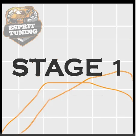 Stage 1