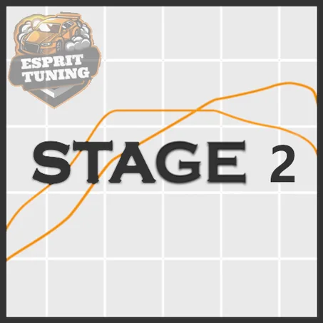 Stage 2