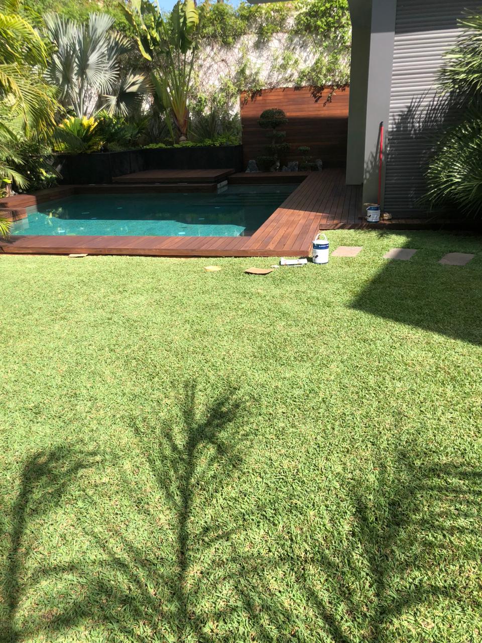 jardin