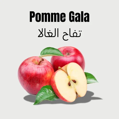 Pomme Gala 1kg