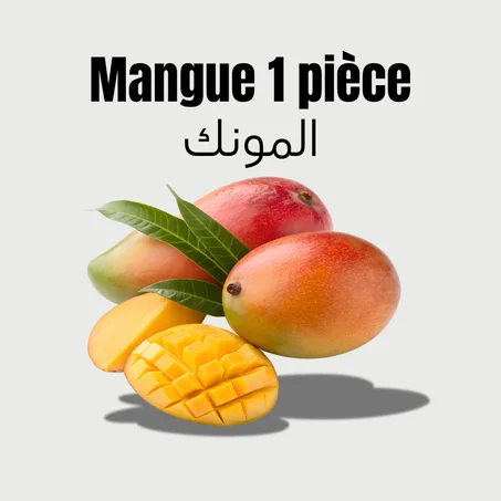 Mangue 1 pièce