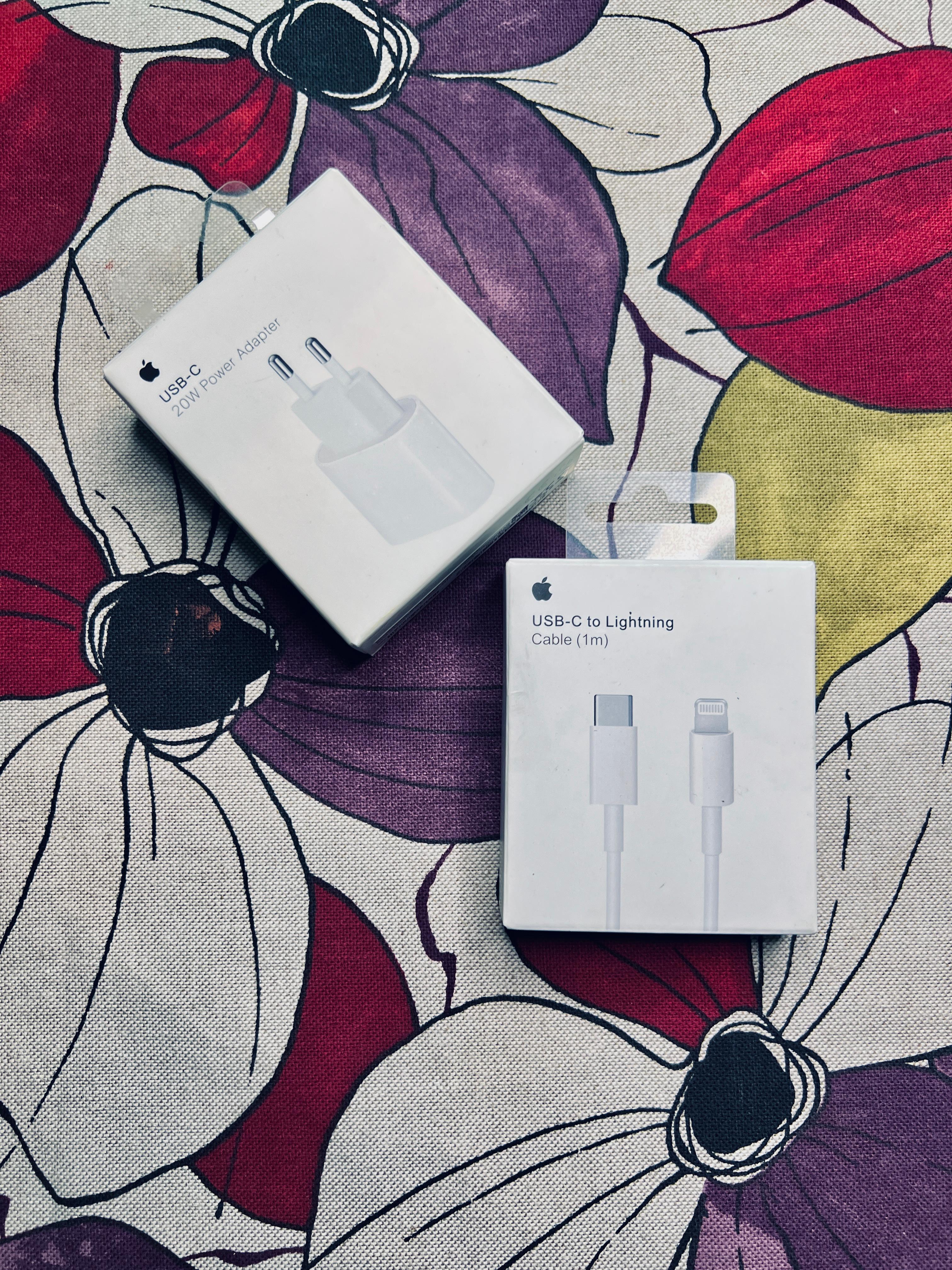 🔌 Chargeur + Câble iPhone Original (Version USA + Garantie)
