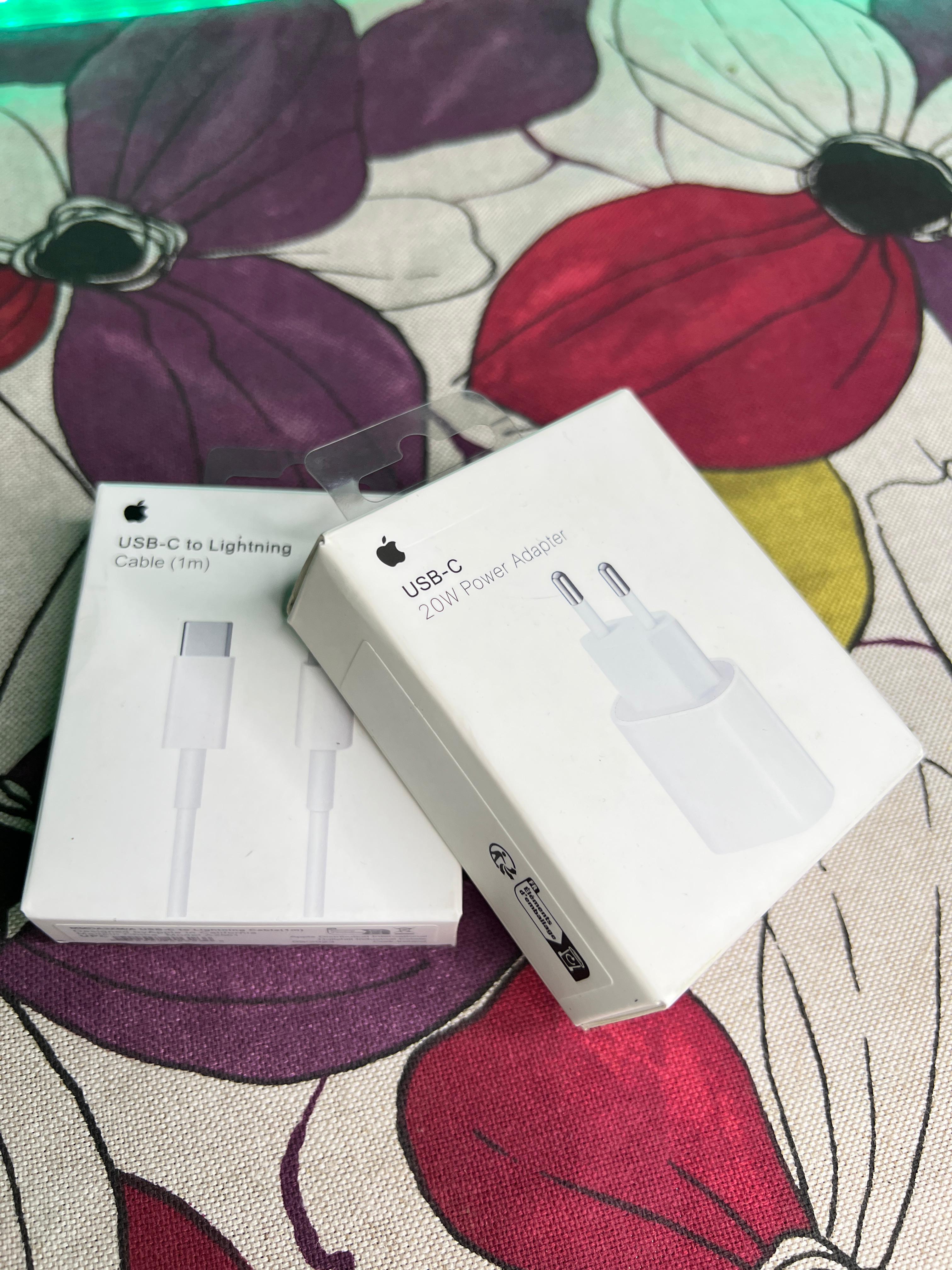 🔌 Chargeur + Câble iPhone Original (Version USA + Garantie)