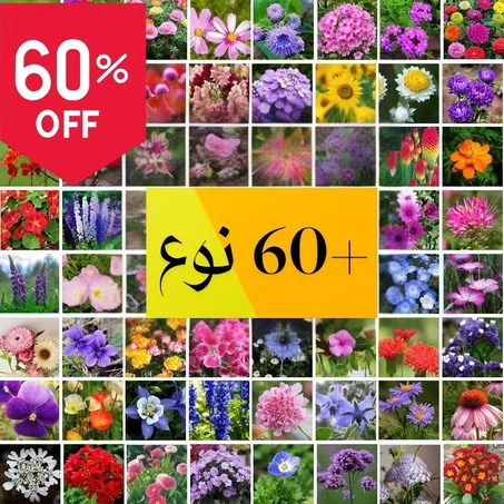 مجموعة بذور الأزهار – أكثر من 60 نوع من الجمال الطبيعي في عبوة واحدة! .... سارع تخفيض 60 ٪ (x5 عبوات بثمن واحدة )