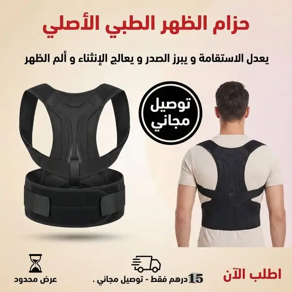 Back support belt
