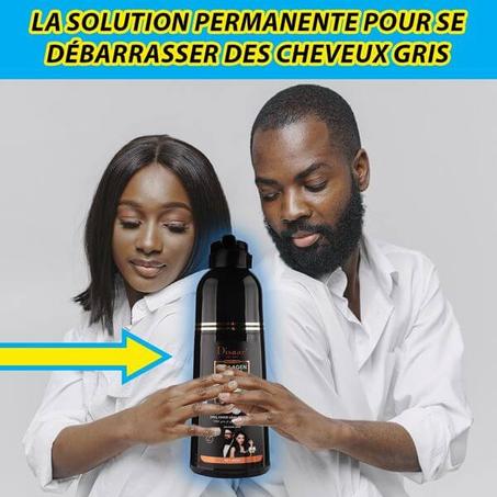 Original Shampoing à l'huile d'argan marocaine élimine les cheveux gris, et rêches  en Seulement 8 minutes, renforce les cheveux dès les racines et prévient la chute des cheveux. - GA