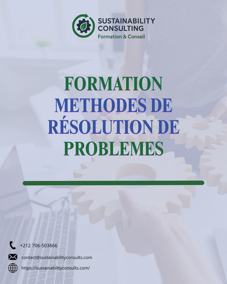 Améliorez Vos Compétences en Résolution de Problèmes (Individuel)