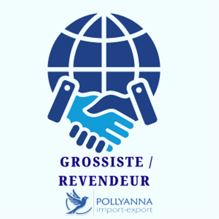 🔵 2. Espace Grossiste / Revendeur