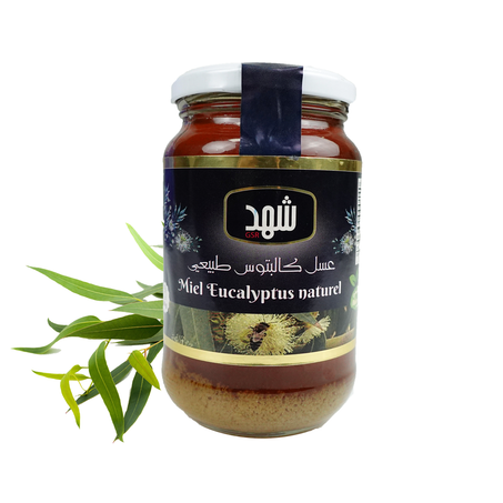 عسل الكاليتوس