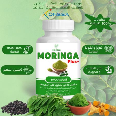 Moringa Plus | قوة المناعة والطاقة الطبيعية