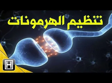 60 كبسولة  حافظ على توازن جسمك مع مكمل تنظيم الهرمونات