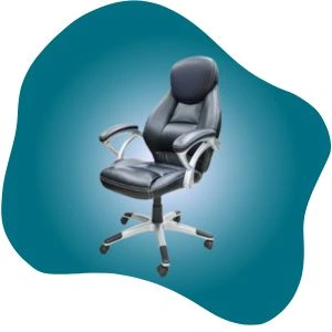 المنزل والحديقة والأثاث