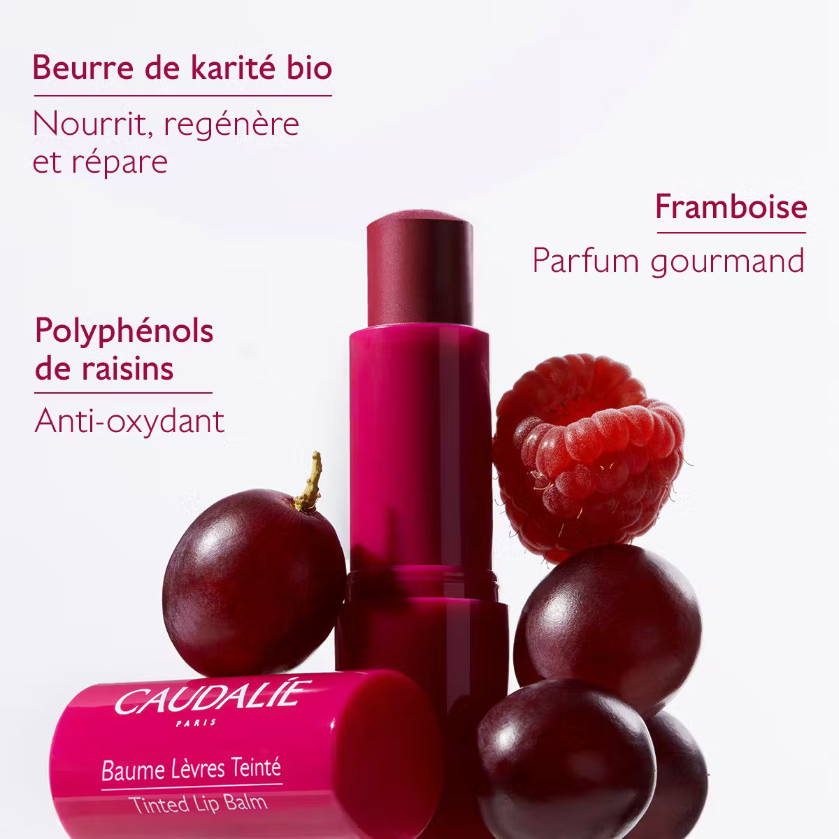 Baume Lèvres Teinté