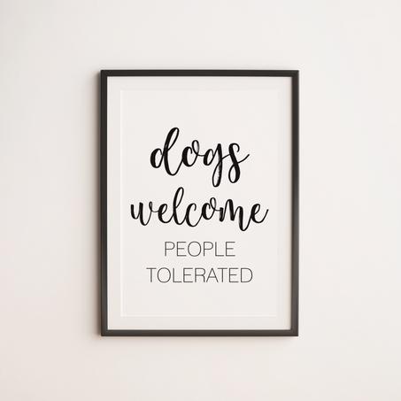Dogs welcome