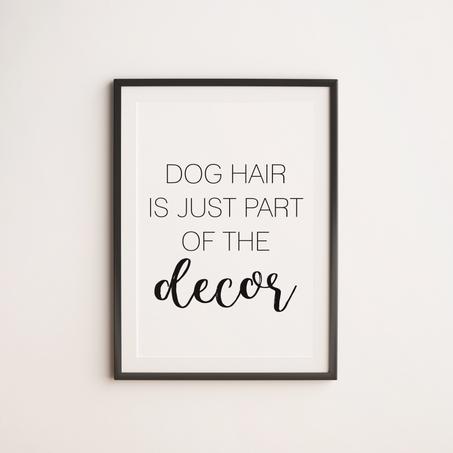 Dog hair