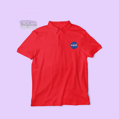 Polo NASA