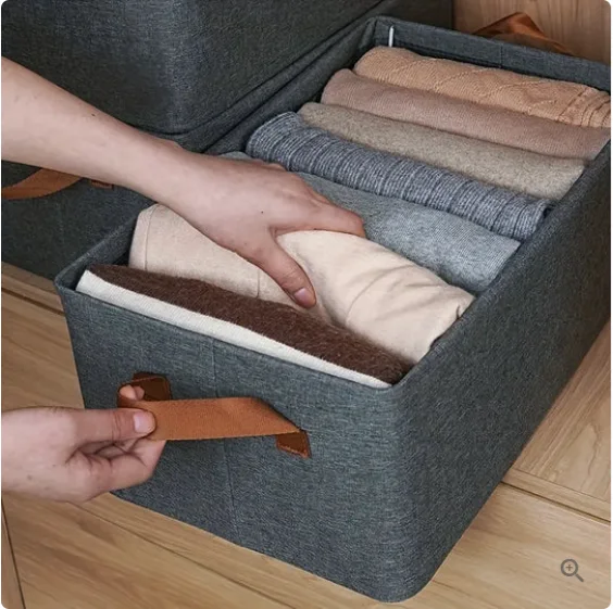 Boîte de Rangement de Sous-vêtements et Chaussettes avec Couvercle Anti-poussière Z31