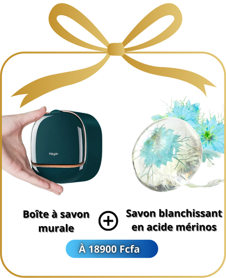 Boîte à savon murale en ABS + Savon cadeau 🎁