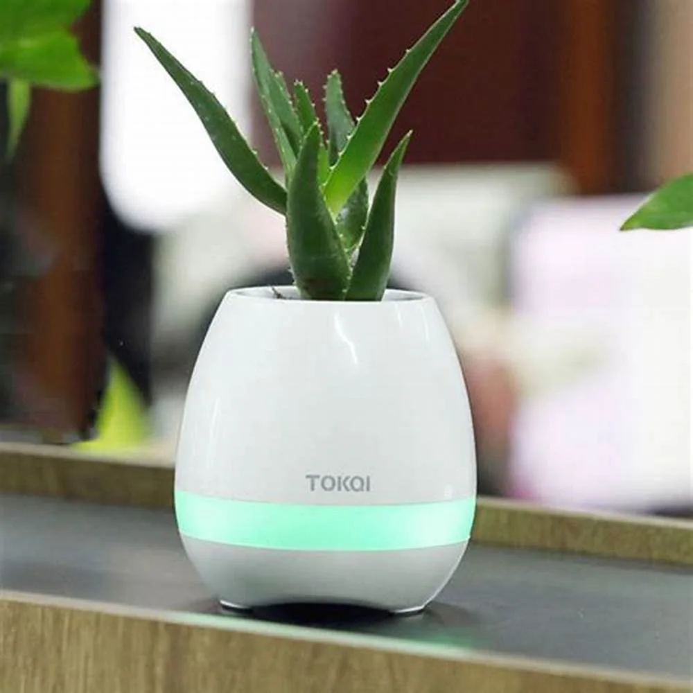 HAUT PARLEUR BLUETOOTH   MUSIC PLANTE