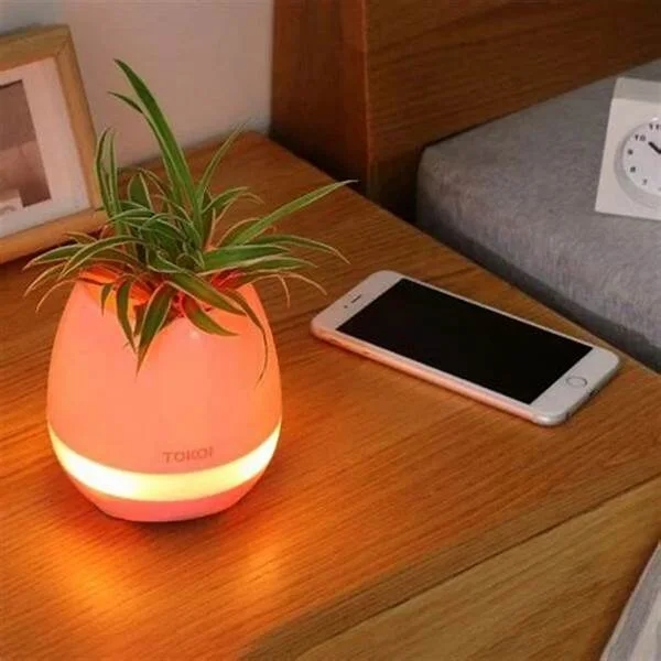 HAUT PARLEUR BLUETOOTH   MUSIC PLANTE